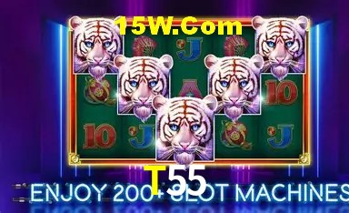 Login Seguro T55