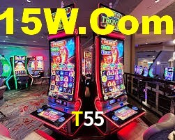 Experimente o Login Seguro Premium no T55