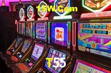 Ofertas Exclusivas T55