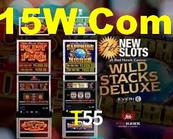 Exclusive Games T55