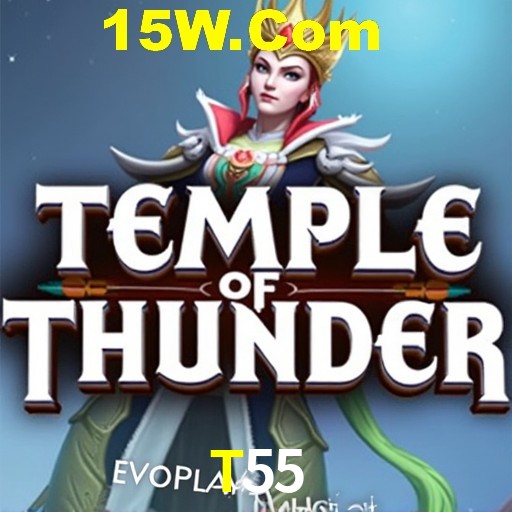 Flash Promotion T55